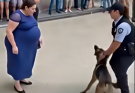 👇👇👇 Perro ladra repetidamente a una mujer embarazada de 7 meses… ¡Cuando la policía se dio cuenta de por qué, ya era demasiado tarde!